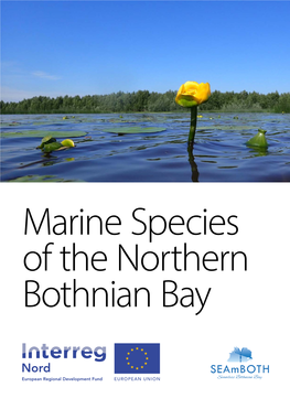 Seamboth-Marine Species of the Northern Bothnian Bay.Pdf