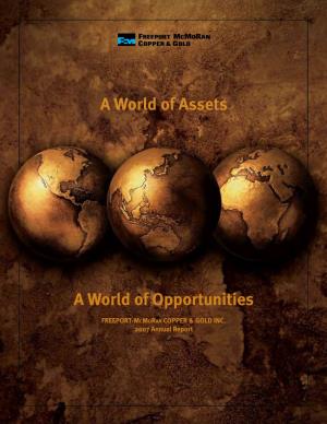 2007 Annual Report a World of Assets