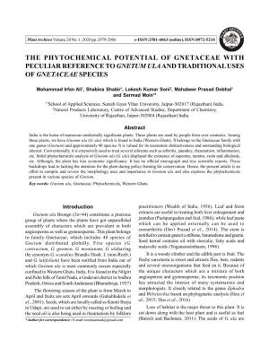 The Phytochemical Potential of Gnetaceae with Peculiar Reference to Gnetum Ula and Traditional Uses of Gnetaceae Species