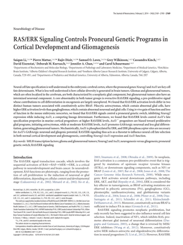 RAS/ERK Signaling Controls Proneural Genetic Programs in Cortical Development and Gliomagenesis