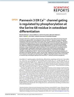 Pannexin 3 ER Ca2+ Channel Gating Is Regulated by Phosphorylation At