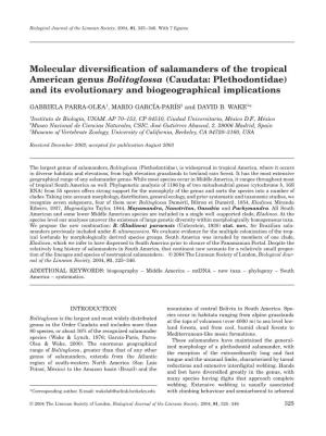 Molecular Diversification of Salamanders of the Tropical