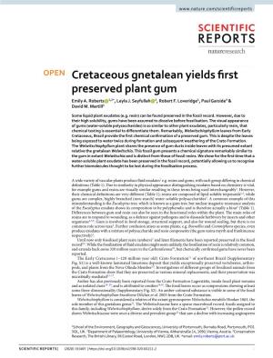 Cretaceous Gnetalean Yields First Preserved Plant