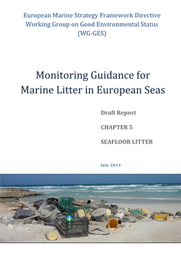 Monitoring Guidance for Marine Litter in European Seas