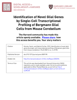 Identification of Novel Glial Genes by Single-Cell Transcriptional Profiling of Bergmann Glial Cells from Mouse Cerebellum