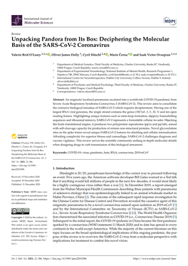 Deciphering the Molecular Basis of the SARS-Cov-2 Coronavirus