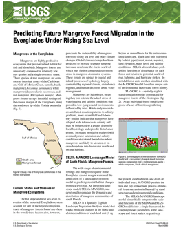 Predicting Future Mangrove Forest Migration in the Everglades Under Rising Sea Level