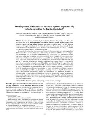 Development of the Central Nervous System in Guinea Pig (Cavia Porcellus, Rodentia, Caviidae)1