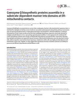 Coenzyme Q Biosynthetic Proteins Assemble in a Substrate-Dependent Manner Into Domains at ER– Mitochondria Contacts