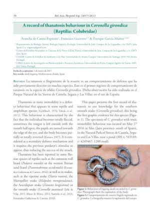 A Record of Thanatosis Behaviour in Coronella Girondica (Reptilia: Colubridae) Arancha De Castro-Expósito1, Francisco Guerrero1,2 & Enrique García-Muñoz1,3,4,*