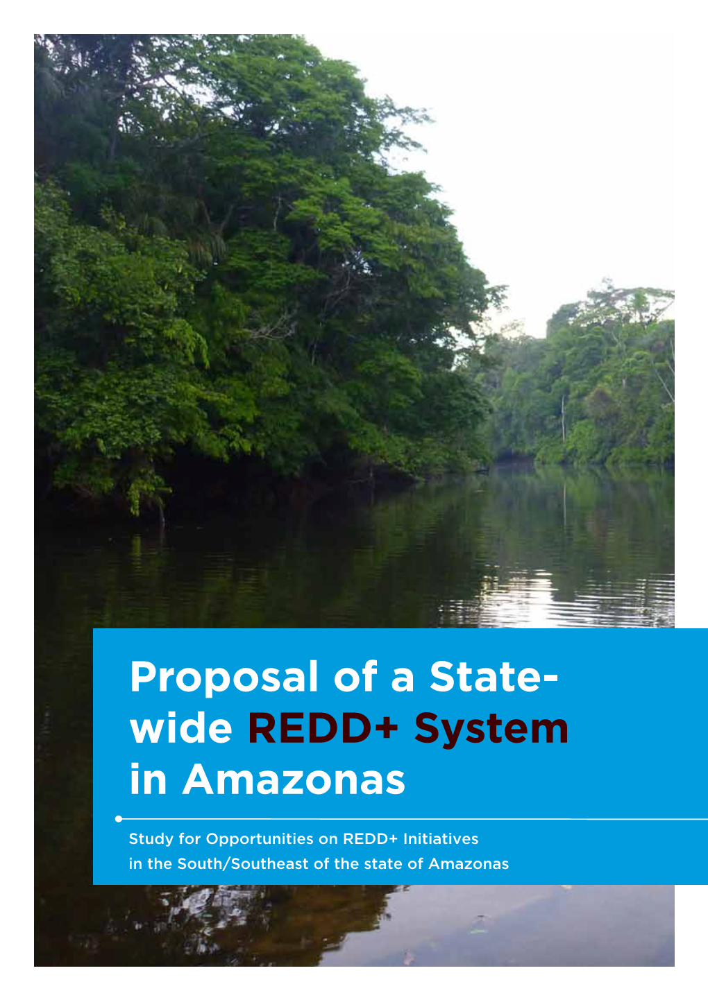 Proposal of a State- Wide REDD+ System in Amazonas