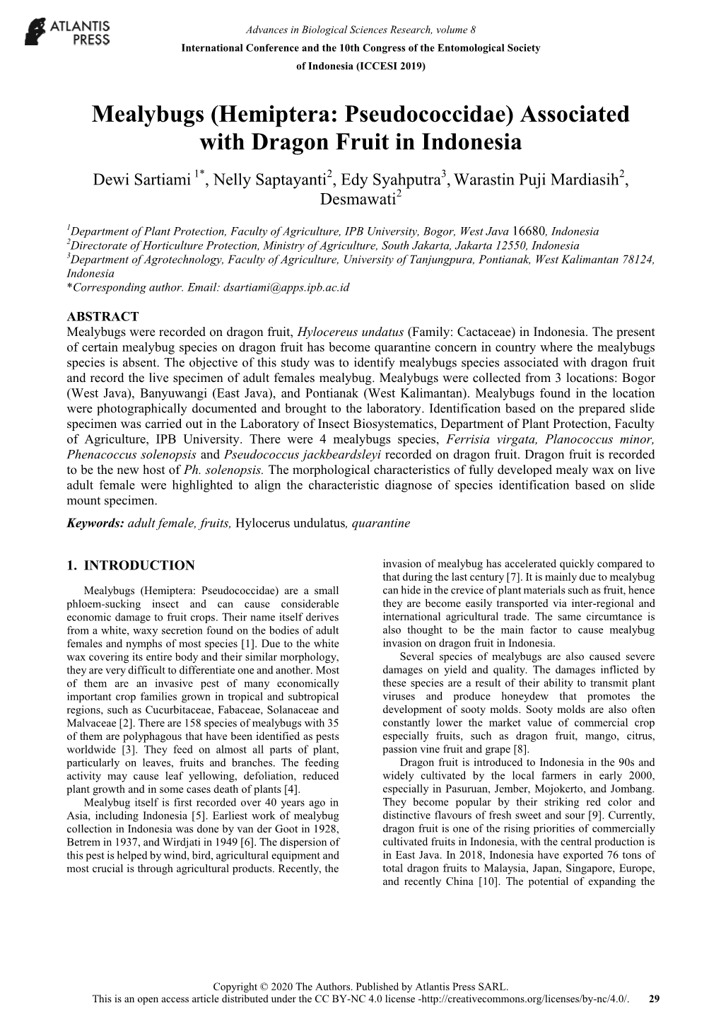 Mealybugs (Hemiptera: Pseudococcidae) Associated with Dragon Fruit in Indonesia