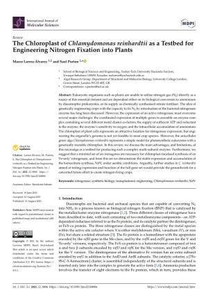 The Chloroplast of Chlamydomonas Reinhardtii As a Testbed for Engineering Nitrogen Fixation Into Plants