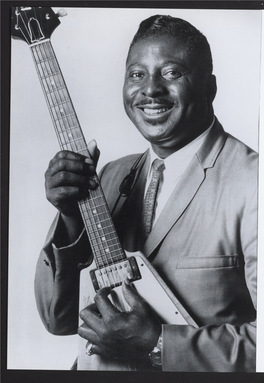 Albert King 2013.Pdf