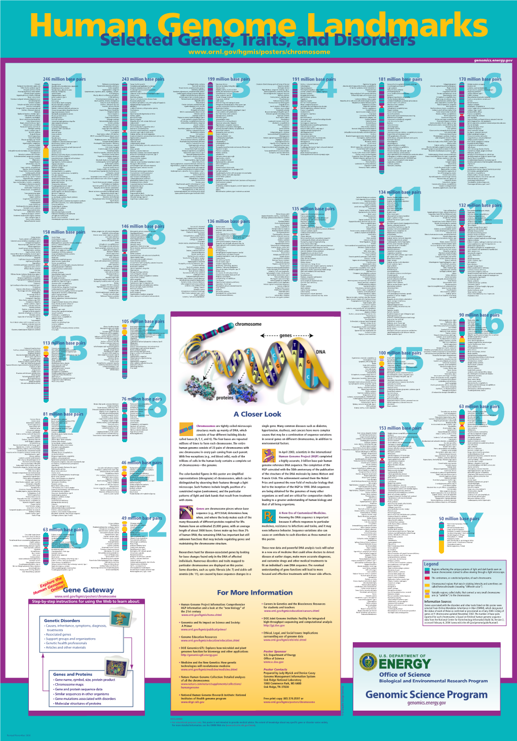 Genomeposter2009.Pdf