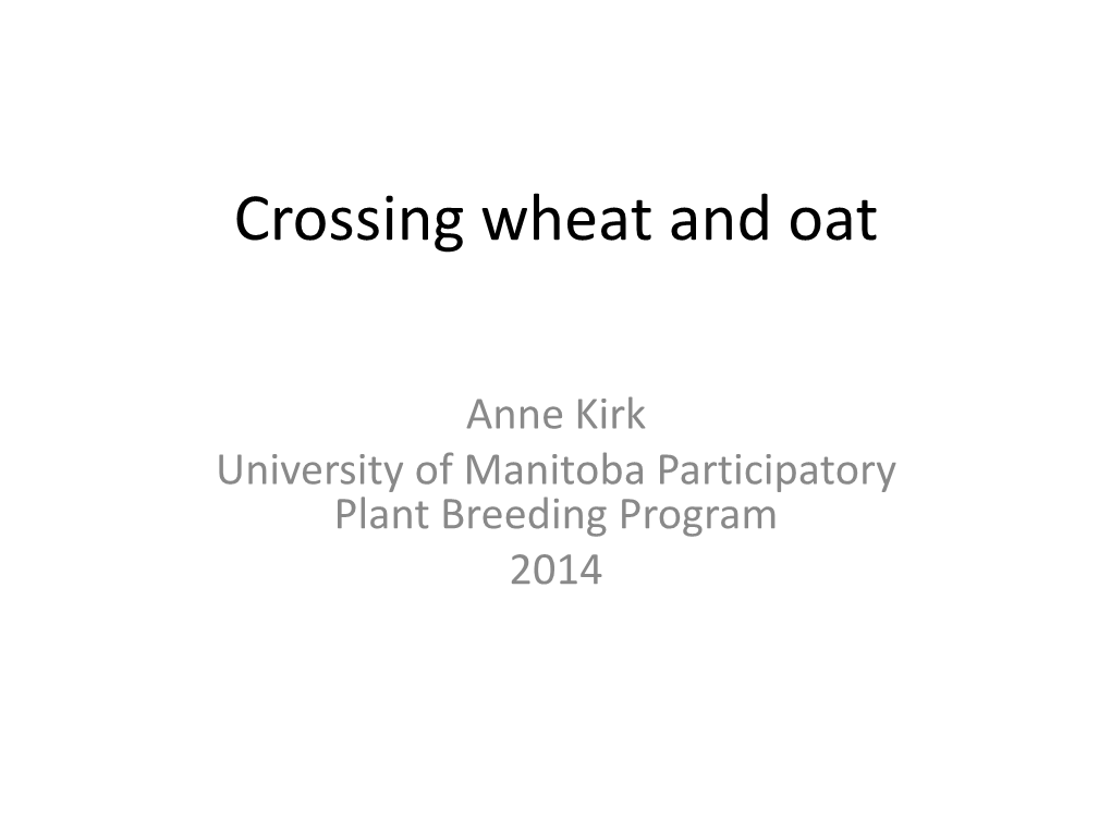 Wheat and Oat Crossing Methods