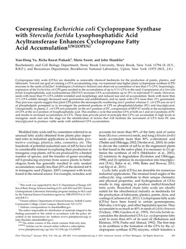 Coexpressing Escherichia Coli Cyclopropane Synthase with Sterculia Foetida Lysophosphatidic Acid Acyltransferase Enhances Cyclop