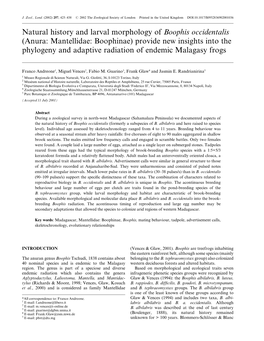 Natural History and Larval Morphology of Boophis Occidentalis