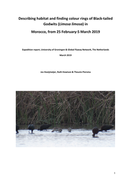 Describing Habitat and Finding Colour Rings of Black-Tailed Godwits (Limosa Limosa) in Morocco, from 25 February-5 March 2019