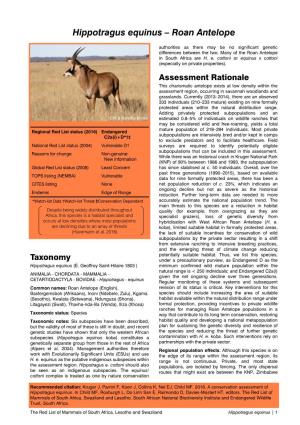 Hippotragus Equinus – Roan Antelope