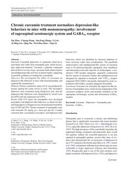 Chronic Curcumin Treatment Normalizes Depression-Like Behaviors in Mice with Mononeuropathy: Involvement of Supraspinal Serotonergic System and GABAA Receptor