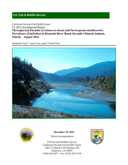 Ceratonova Shasta and Parvicapsula Minibicornis) Prevalence of Infection in Klamath River Basin Juvenile Chinook Salmon, March – August 2016