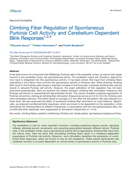 Climbing Fiber Regulation of Spontaneous Purkinje Cell Activity
