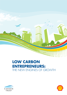 Low Carbon Enterprises