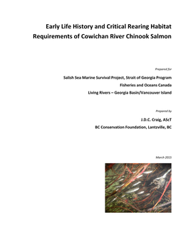 Early Life History and Critical Rearing Habitat Requirements of Cowichan River Chinook Salmon