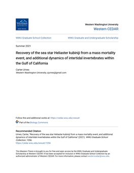 Recovery of the Sea Star Heliaster Kubiniji from a Mass Mortality Event, and Additional Dynamics of Intertidal Invertebrates Within the Gulf of California