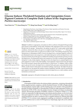 Glucose Induces Thylakoid Formation and Upregulates Green Pigment Contents in Complete Dark Culture of the Angiosperm Pachira Macrocarpa