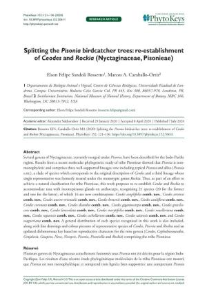 Splitting the Pisonia Birdcatcher Trees: Re-Establishment of Ceodes and Rockia (Nyctaginaceae, Pisonieae)