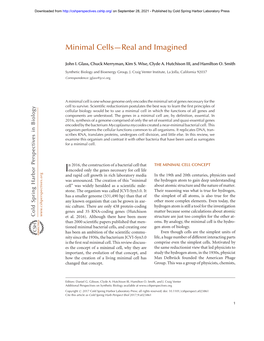 Minimal Cells—Real and Imagined