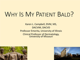 The Bald Patient: Diagnoses and Management