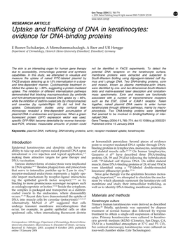 Uptake and Trafficking of DNA in Keratinocytes