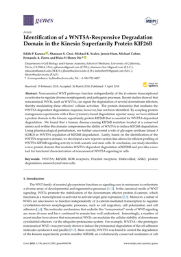 Identification of a WNT5A-Responsive Degradation Domain in the Kinesin