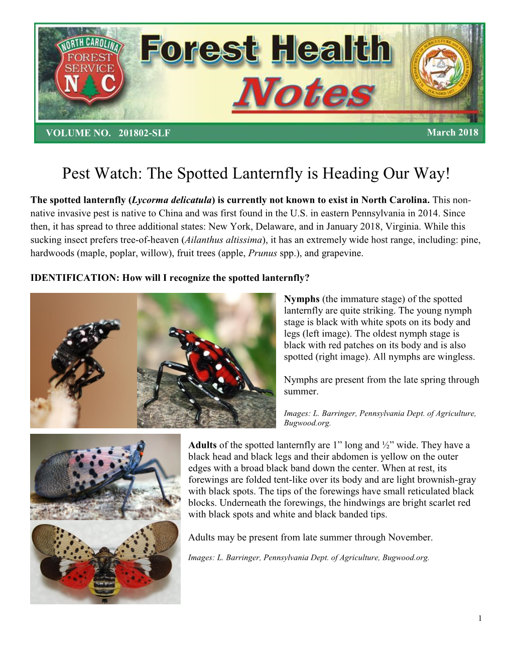 Pest Watch: the Spotted Lanternfly Is Heading Our Way!