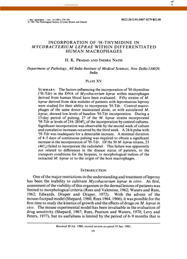 Incorporation of 3H-Thymidine in Human