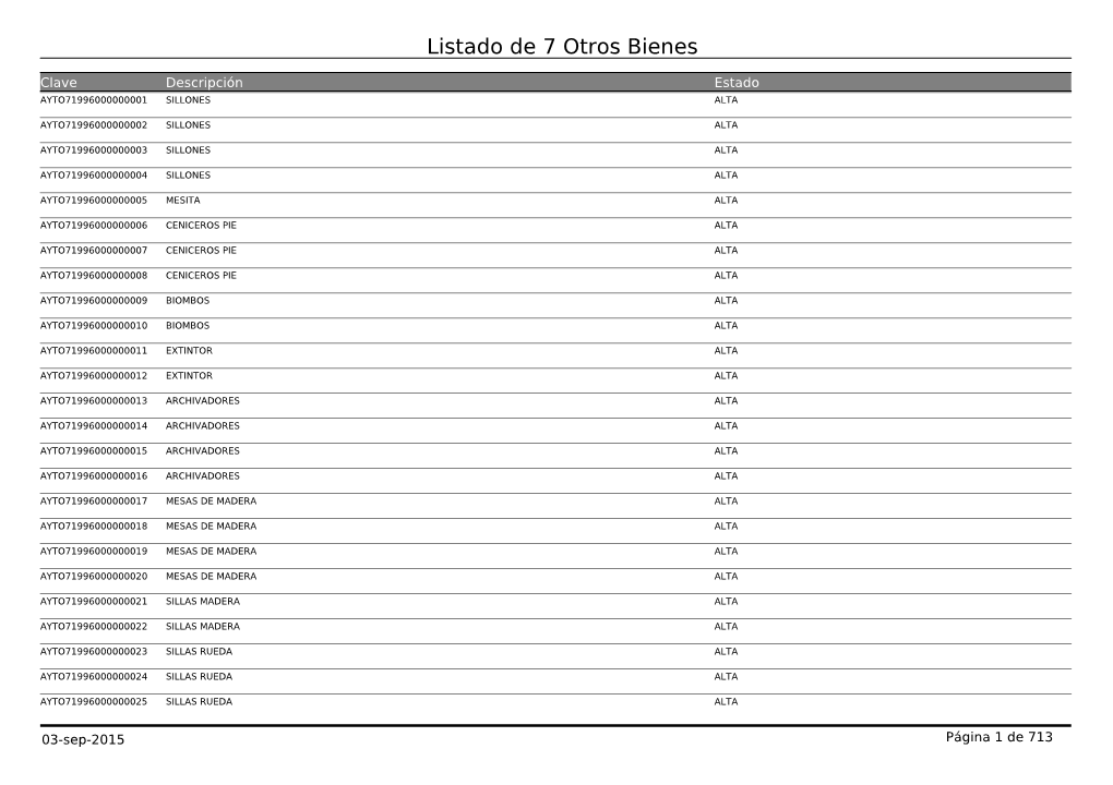 Listado De 7 Otros Bienes