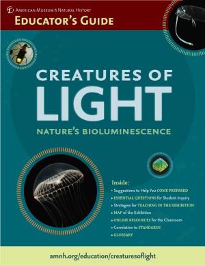 Nature's Bioluminescence