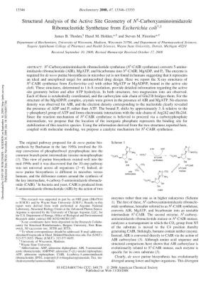 Structural Analysis of the Active Site Geometry of N5-Carboxyaminoimidazole Ribonucleotide Synthetase from Escherichia Coli†,‡ James B