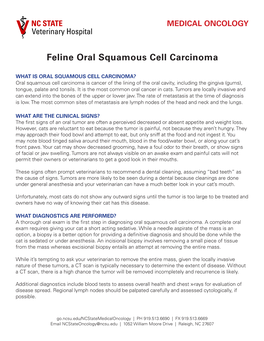 Feline Oral Squamous Cell Carcinoma