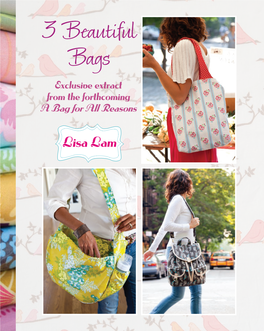 3 Beautiful Bags Exclusive Extract from the Forthcoming a Bag for All Reasons