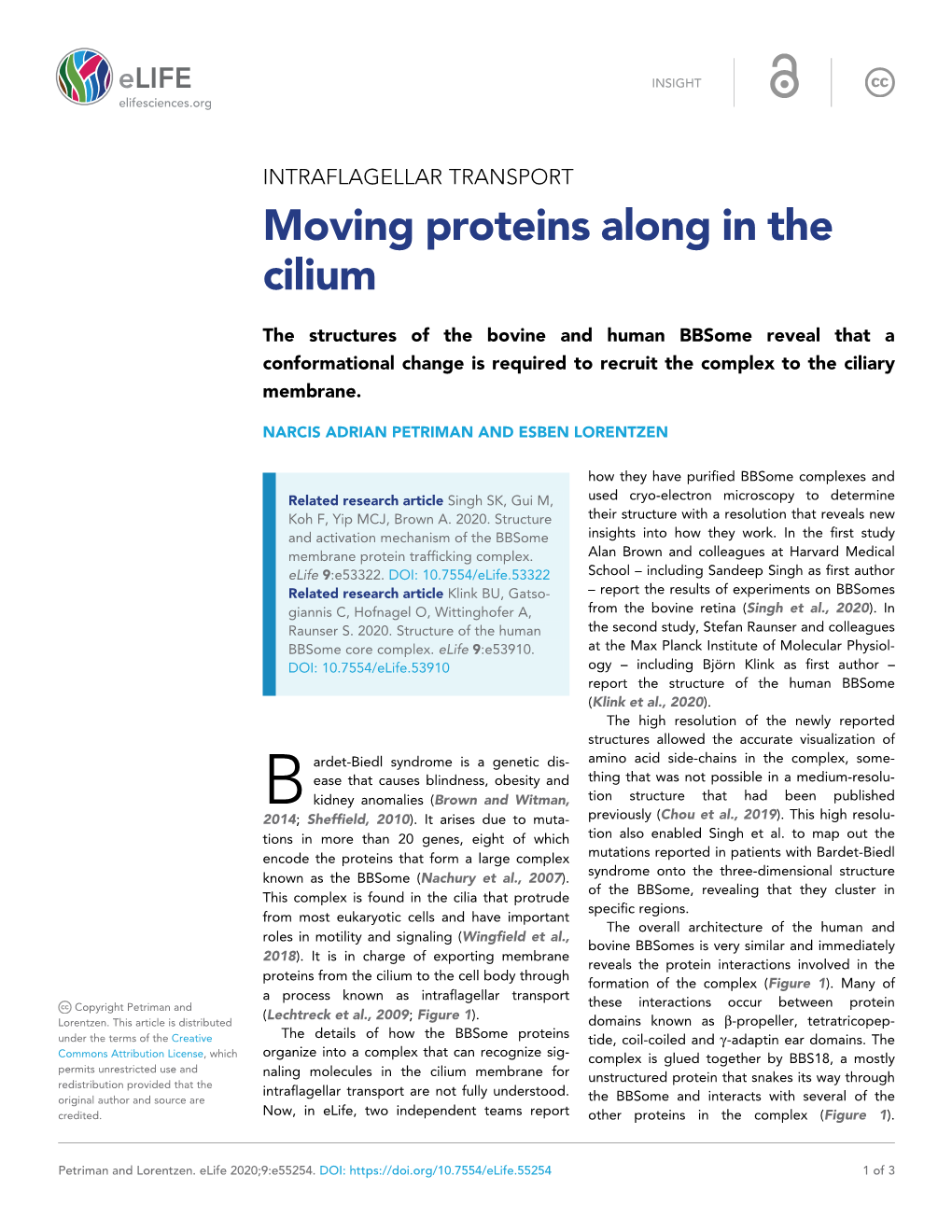 Moving Proteins Along in the Cilium