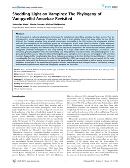 The Phylogeny of Vampyrellid Amoebae Revisited