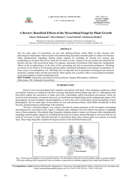A Review: Beneficial Effects of the Mycorrhizal Fungi for Plant Growth