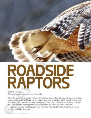 ROADSIDE RAPTORS by Sheila Mcentee Photographs, Unless Otherwise Noted, by Doug Jolley