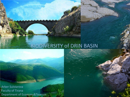 BIODIVERSITY of DRIN BASIN