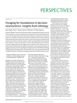Foraging for Foundations in Decision Neuroscience: Insights from Ethology