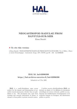 NEOGASTROPOD RADULAE from BANYULS-SUR-MER Klaus Bandel